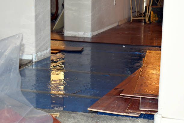 Professional Burst Pipe Cleanup technician working in Moline, MI