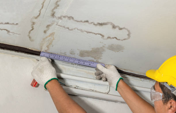 Reliable Burst Pipe Cleanup contractor in Moline, MI by Local Water Damage Repair